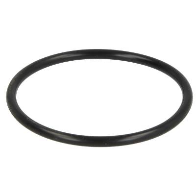 [101125] JOINT O-RING POUR BOCAL FILTRE MAZOUT